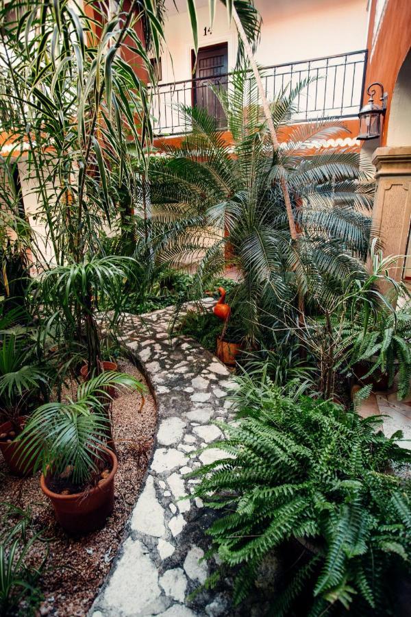 Hotel Quinta Marciala Mx Valladolid  Dış mekan fotoğraf